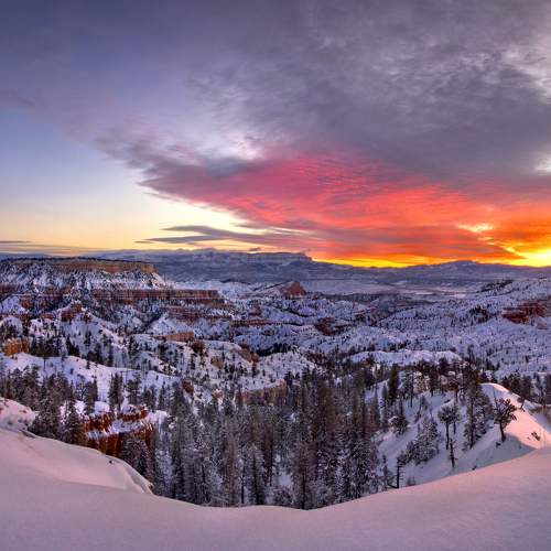Photo #10067153