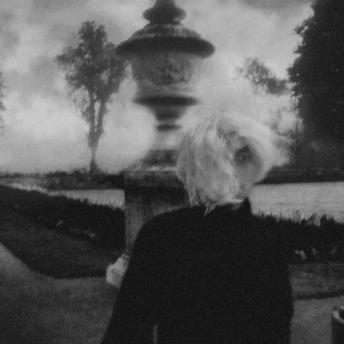 Photo #10067600