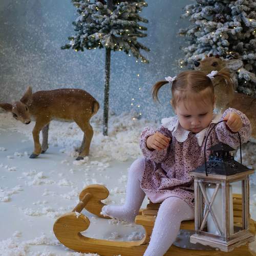 Photo #10068248