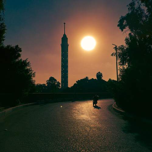 Photo #10068273
