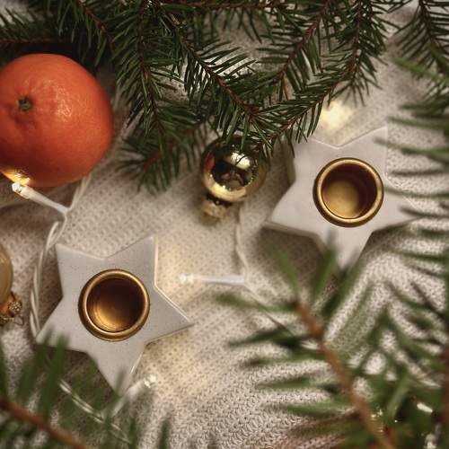 Photo #10068682