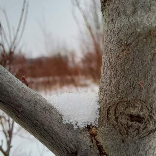 Photo #10068740