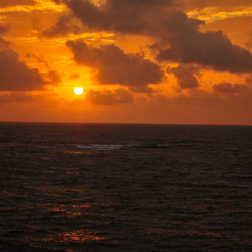 Photo #10069462