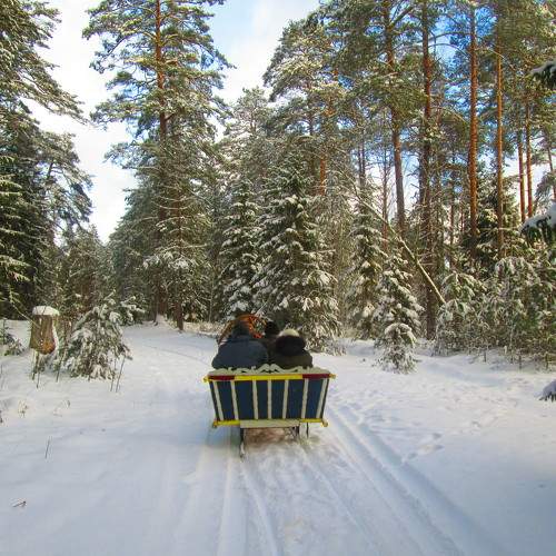 Photo #10069655