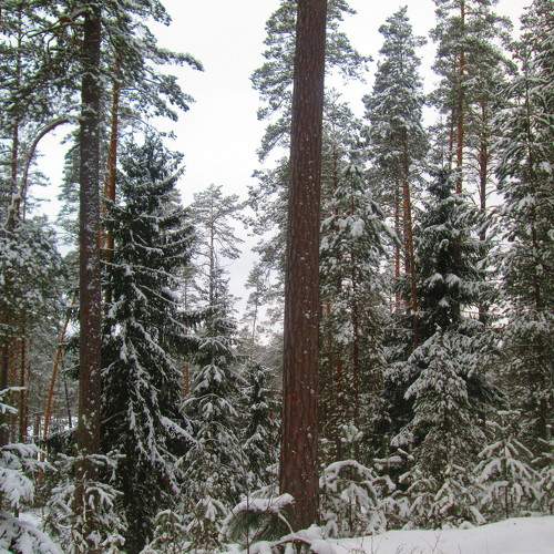 Photo #10069659