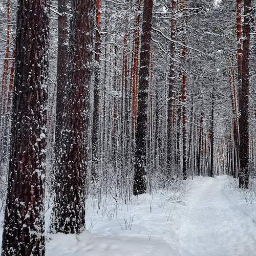 Photo #10069671