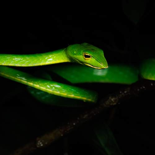 Photo #10070633