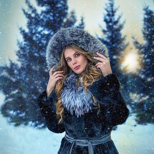 Photo #10070899