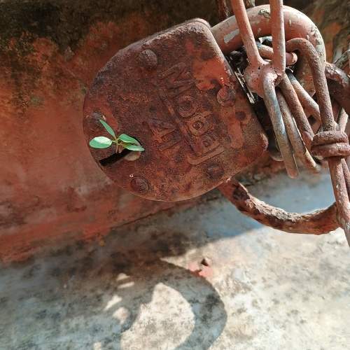 Photo #10071137
