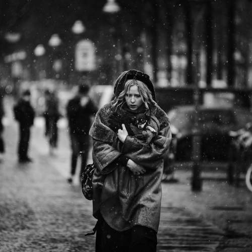 Photo #10071427