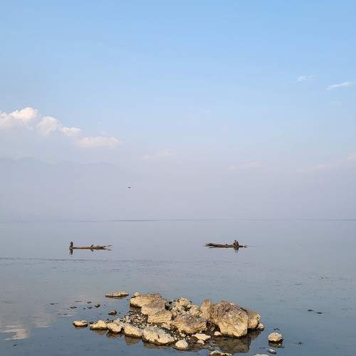 Photo #10071573