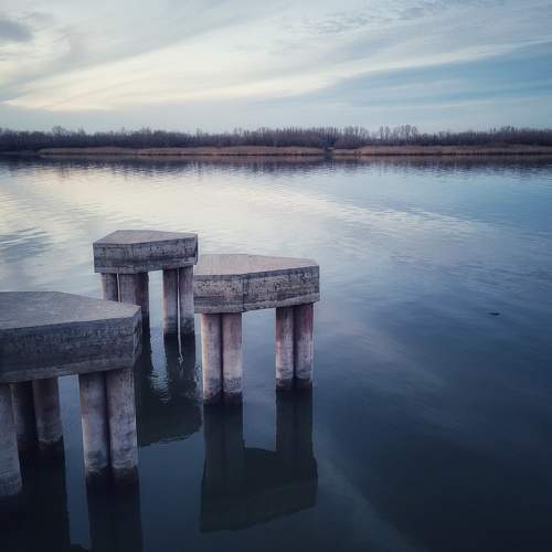 Photo #10072061