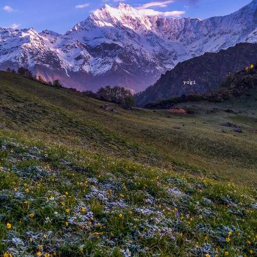 Photo #10072137