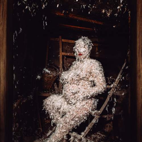 Photo #10072199