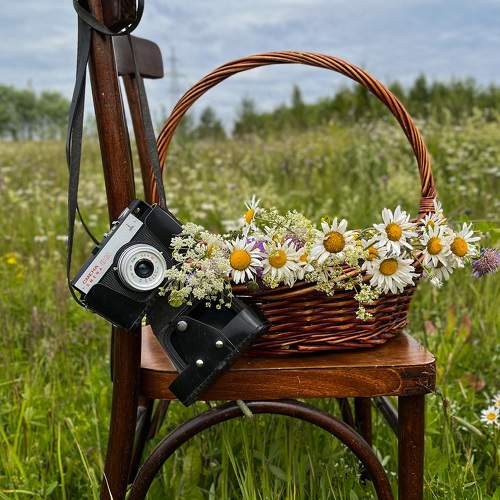 Photo #10072222