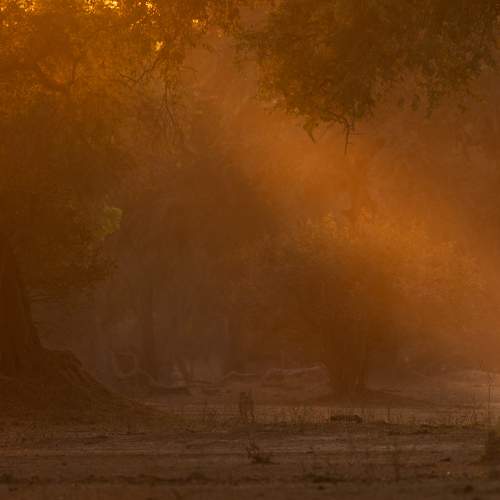 Photo #10072386