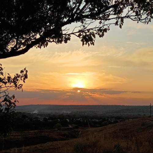 Photo #10072573