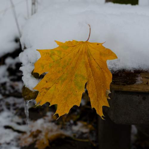 Photo #10072892