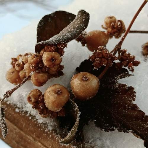Photo #10073171