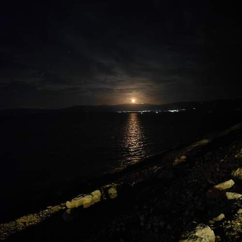 Photo #10073418
