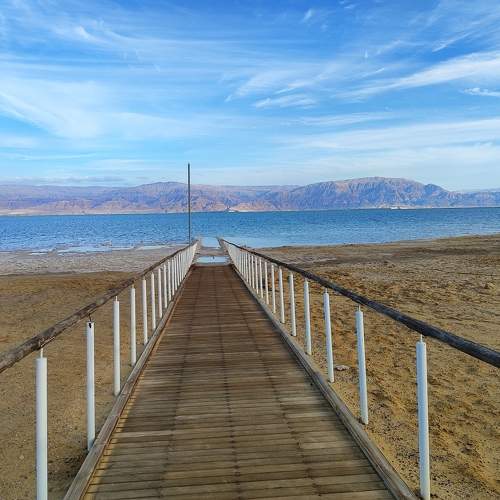 Photo #10073419
