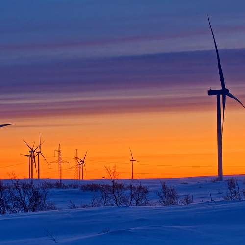 Photo #10073679