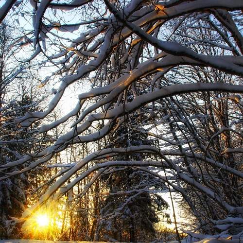 Photo #10073849
