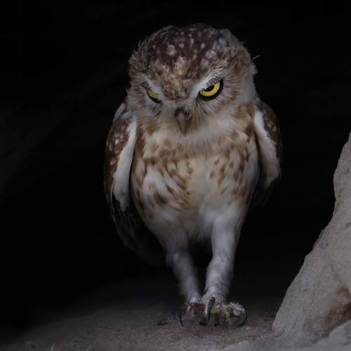 Photo #10074069
