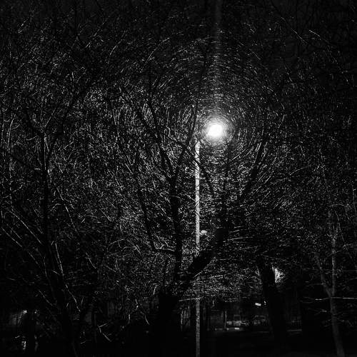 Photo #10074164
