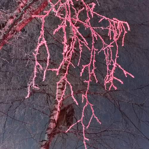 Photo #10074306