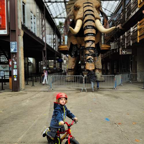 Photo #10074451
