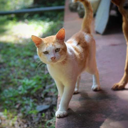 Photo #10075200