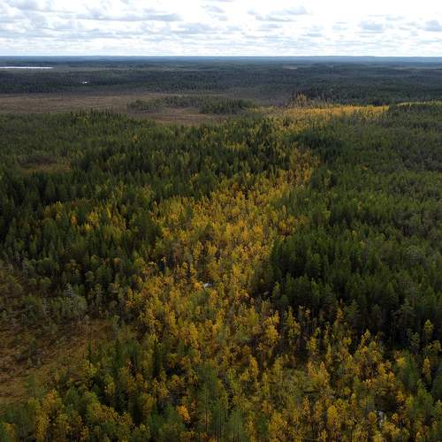 Photo #10075206