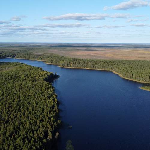 Photo #10075208