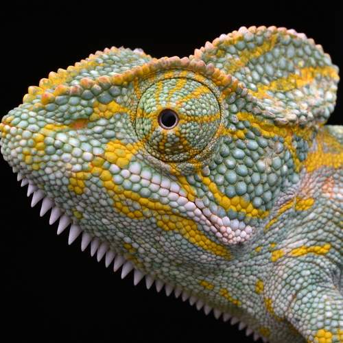 Фотография #10075564