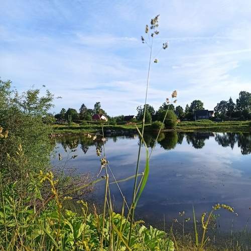 Photo #10075572