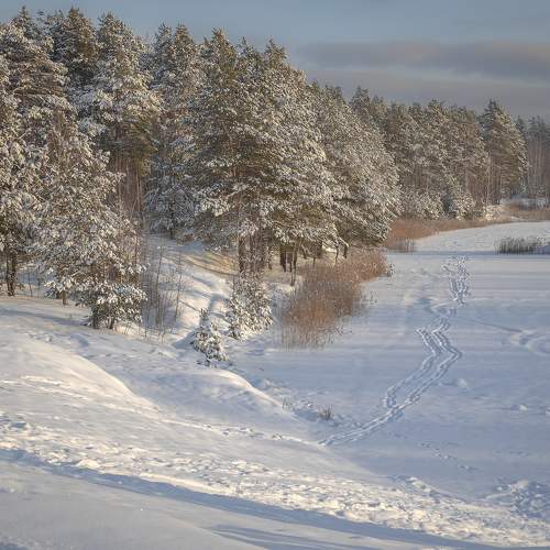 Photo #10075962