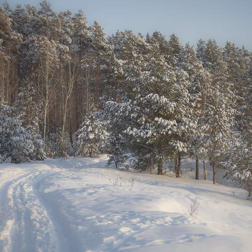 Photo #10075972