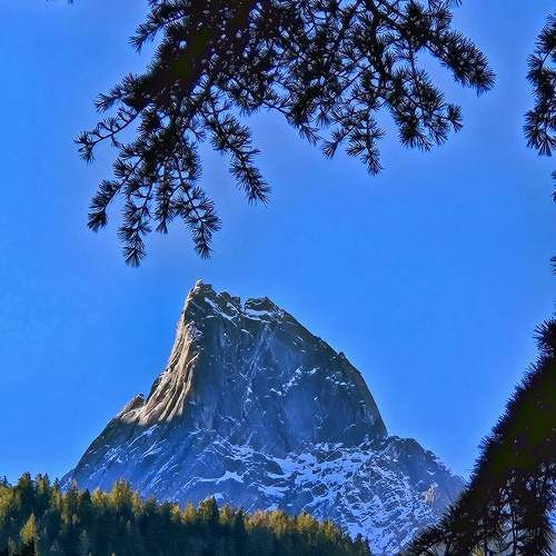 Photo #10076288