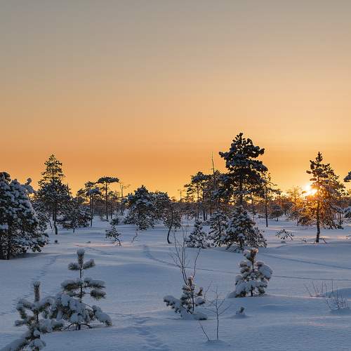 Photo #10076374