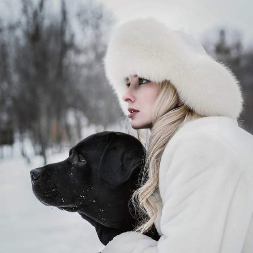 Photo #10076439
