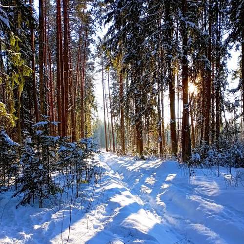Photo #10076782