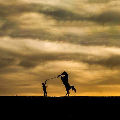 Фотография #10076805