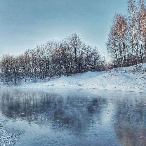 Photo #10076903