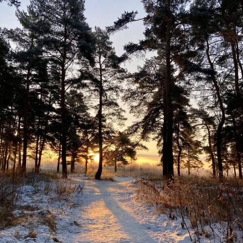 Photo #10077013