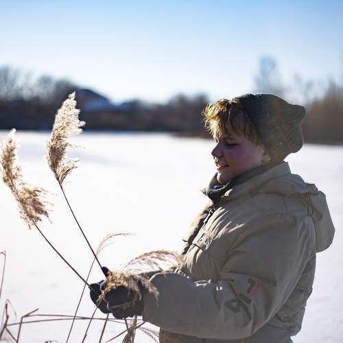 Photo #10077253