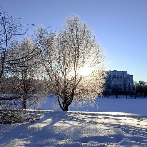 Photo #10077425
