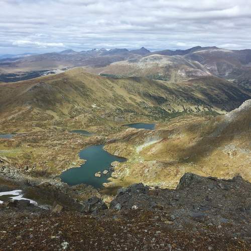 Photo #10077769