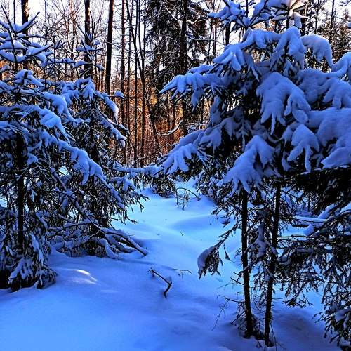 Photo #10077844
