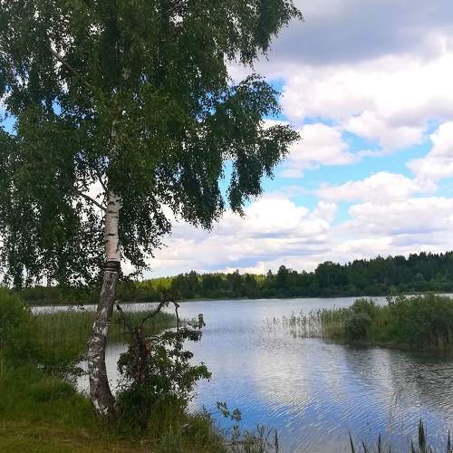Photo #10077886